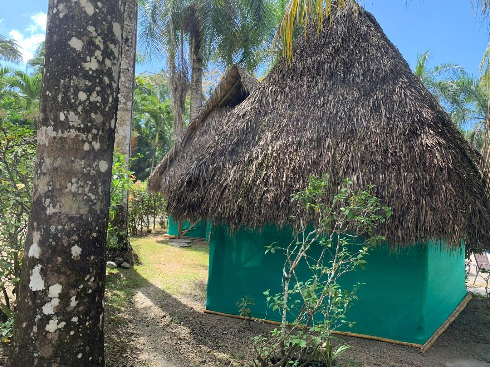 Отель Mal Pais Surf Camp Playa Santa Teresa  Экстерьер фото